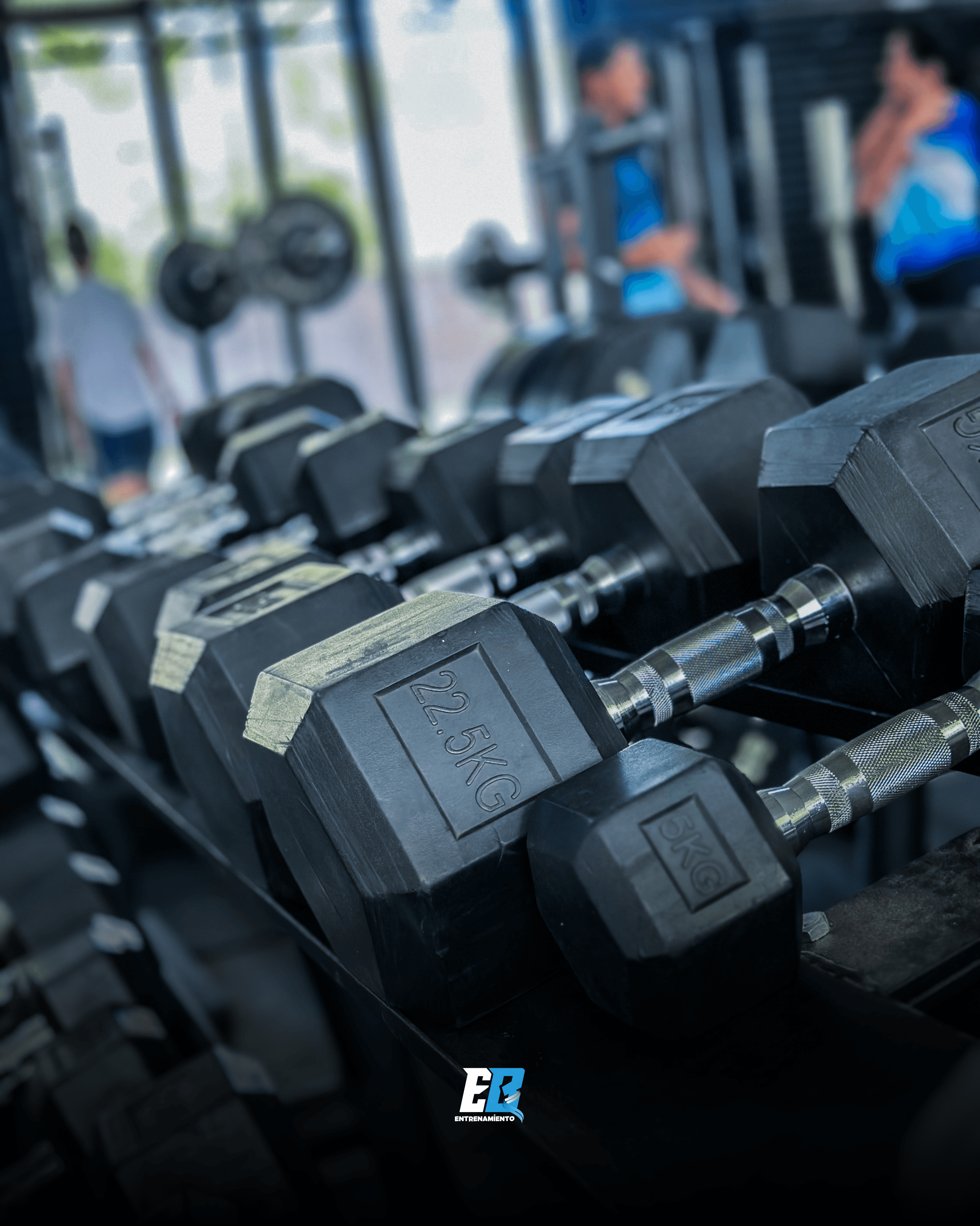Mancuernas en el gym EB Entrenamiento