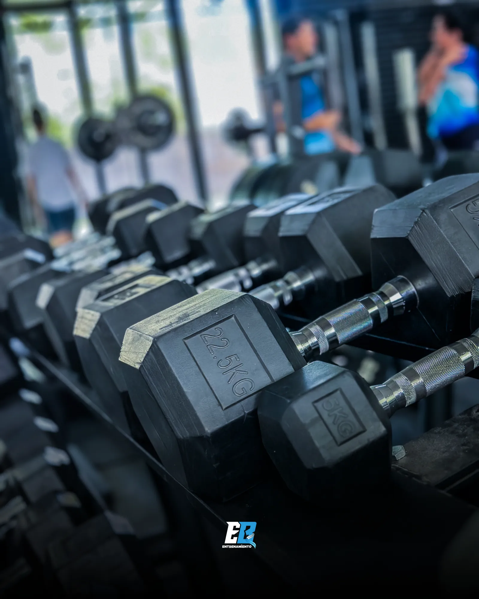 Mancuernas en el gym EB Entrenamiento